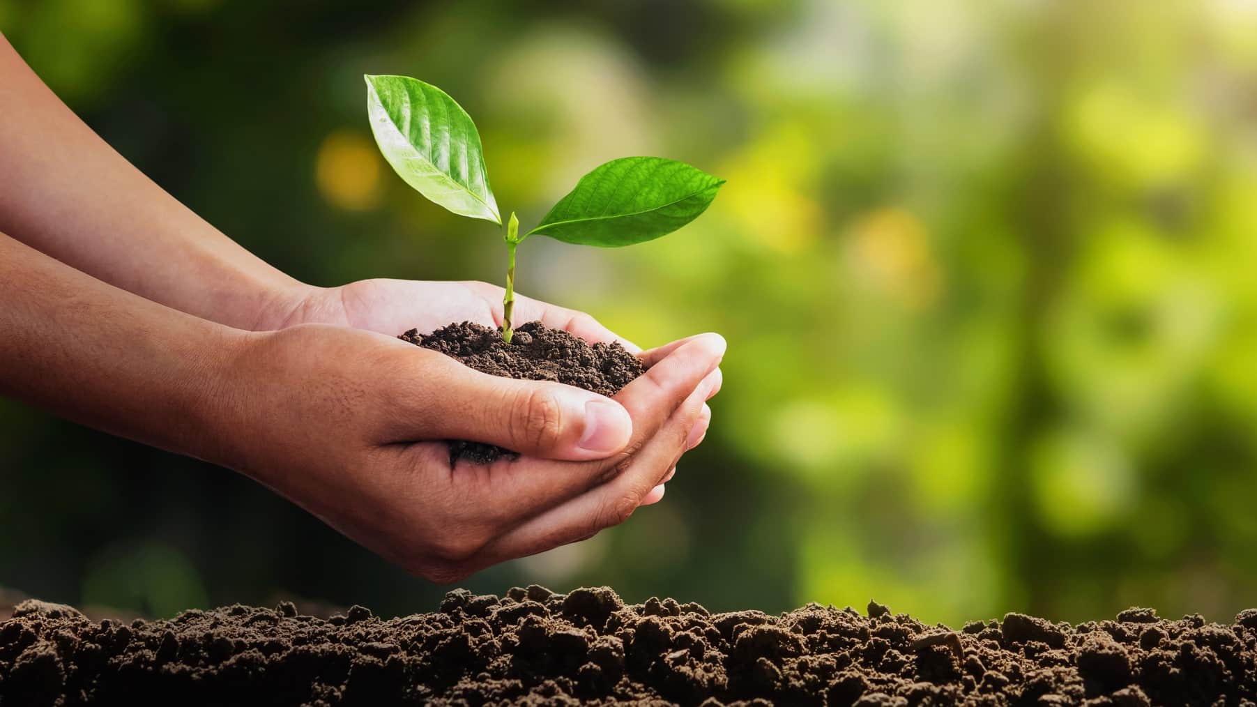 Premios Sostenibilidad industria funeraria 2025