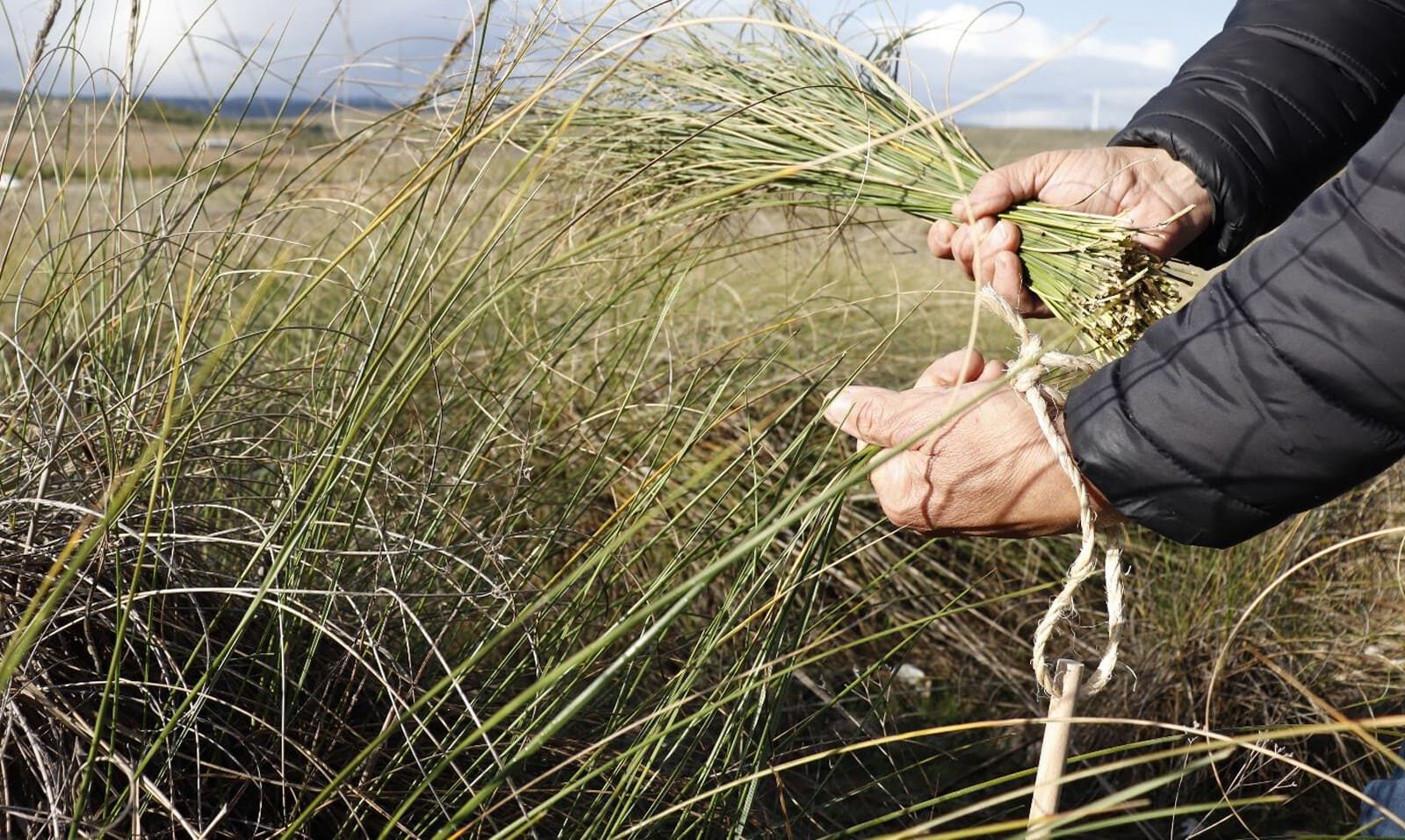 Murcia servicios ecosistémicos desarrollo sostenible