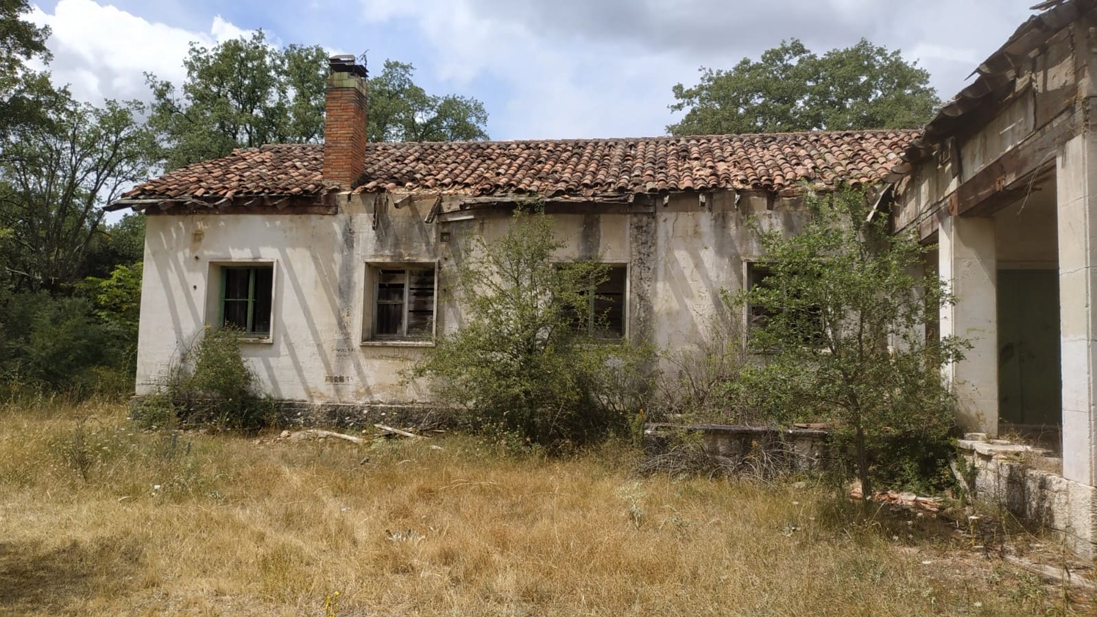 Restauración ambiental Bosque Villafría