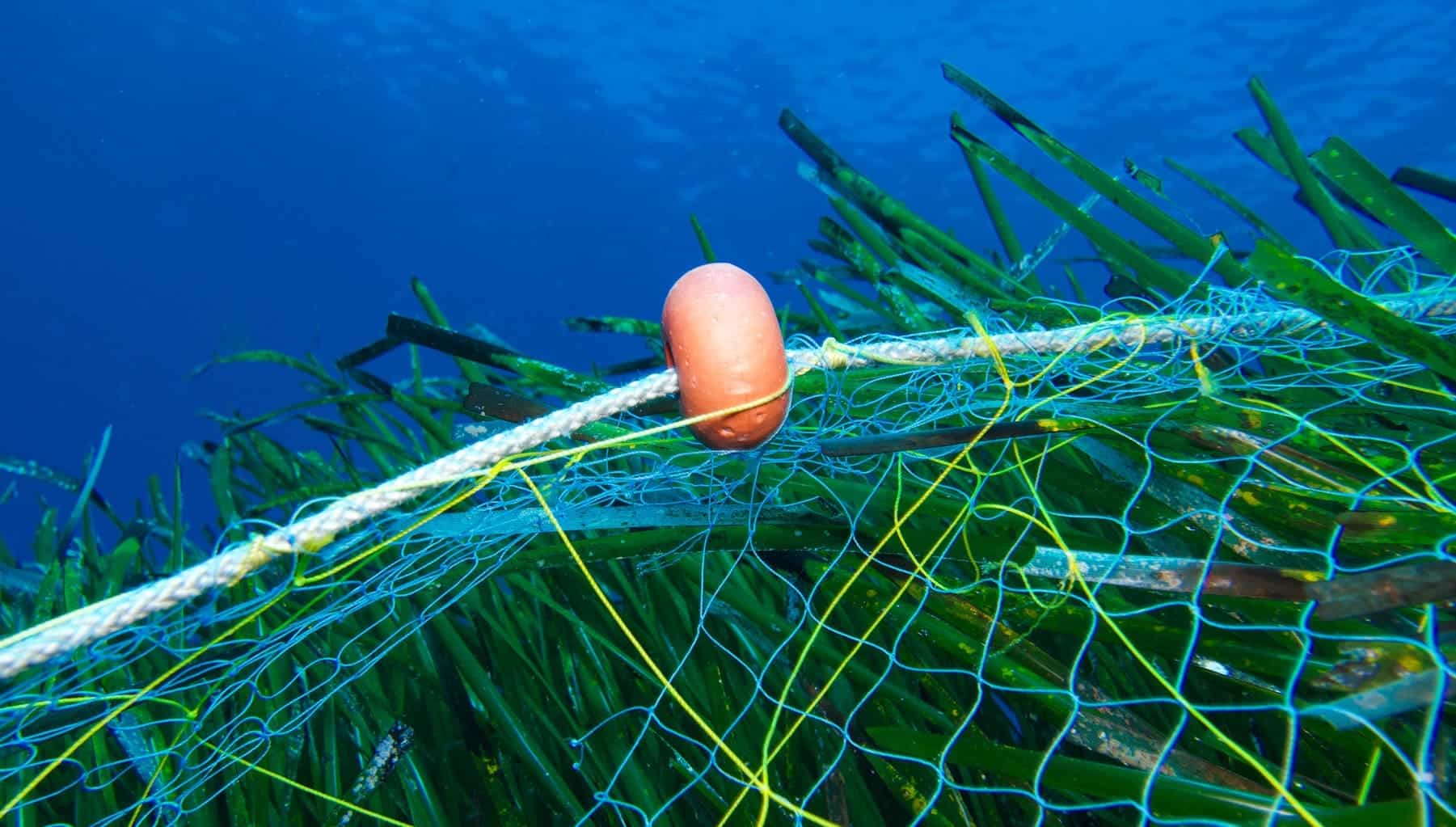 Restauración fondos marinos residuos Parque Natural Serra Gelada