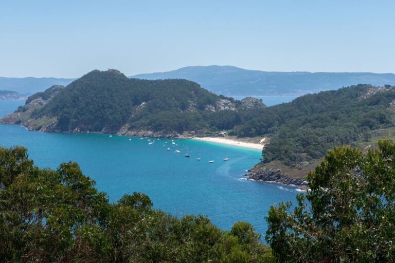 alianza Mar Medio Ambiente Galicia
