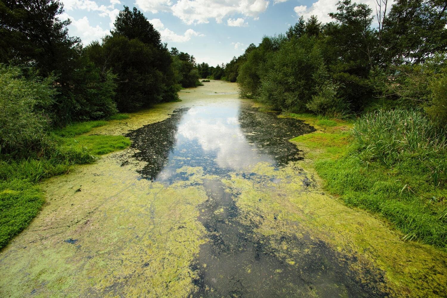 comunidad rural demanda Xunta Galicia contaminación ganadera
