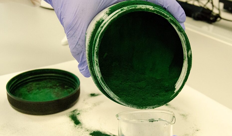 microalga optimizar cultivos sostenible