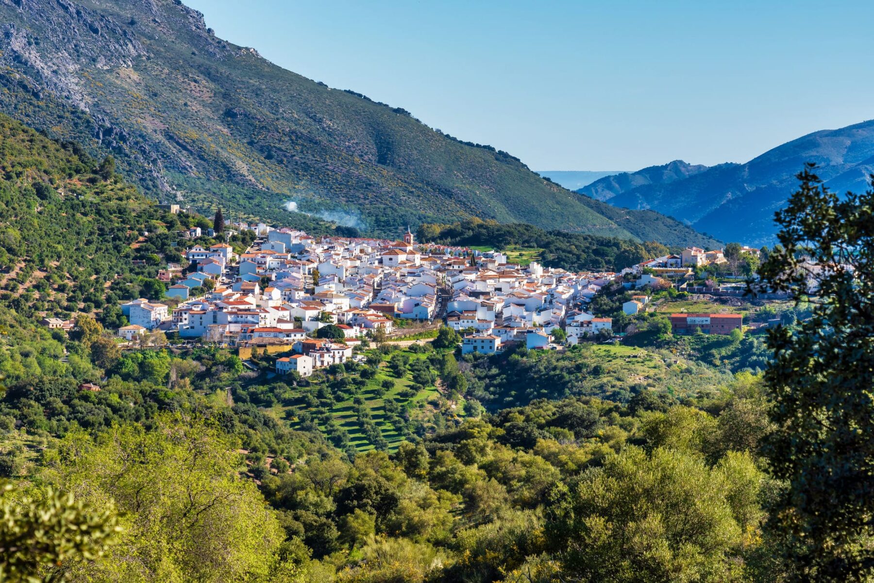 Andalucía más verde tres décadas aridez sequía