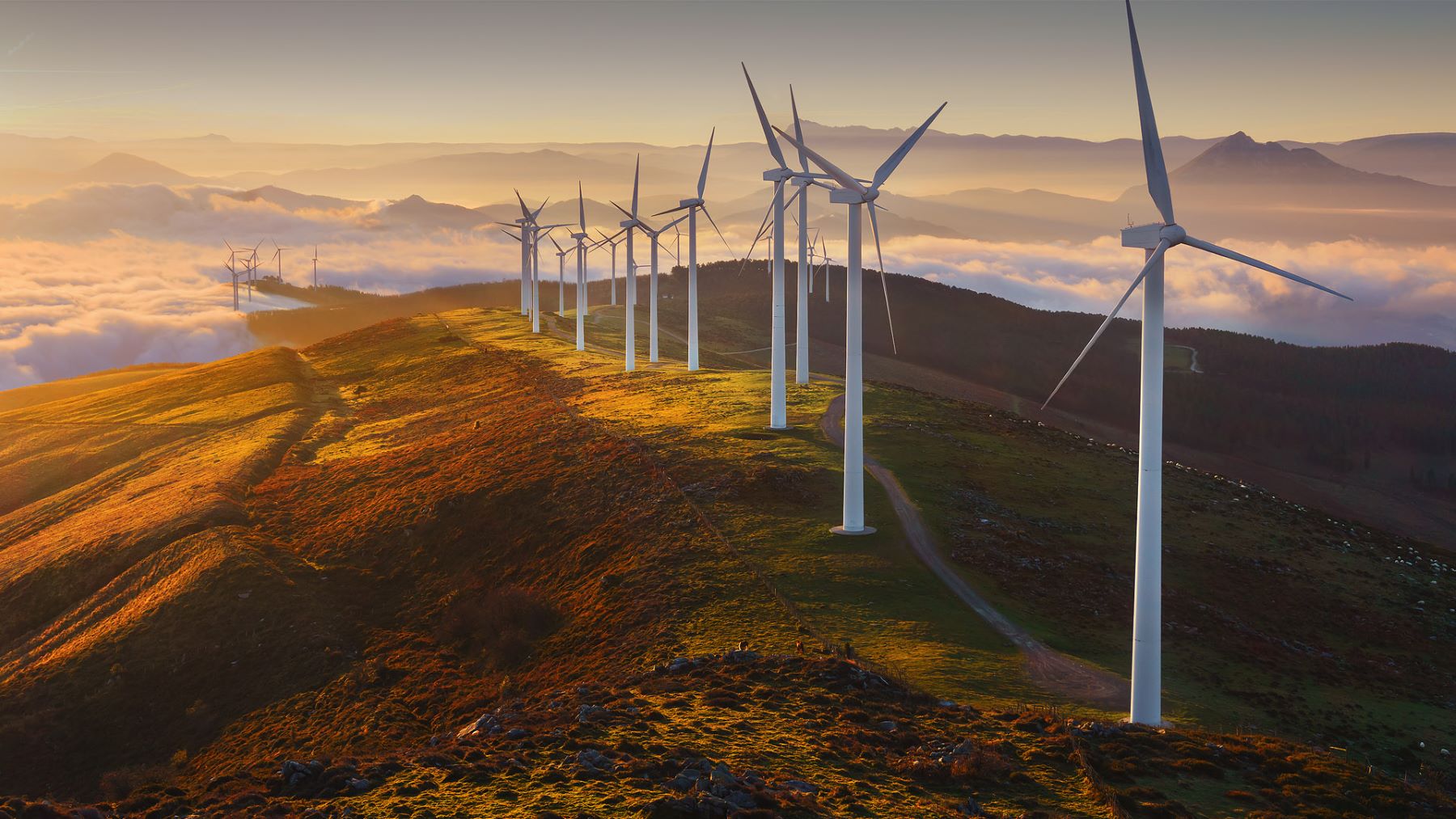 viento-energía-eólica