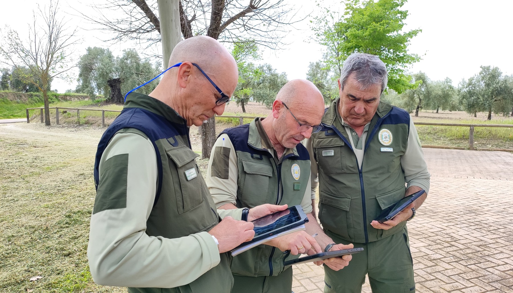 Gavis agentes Andalucia