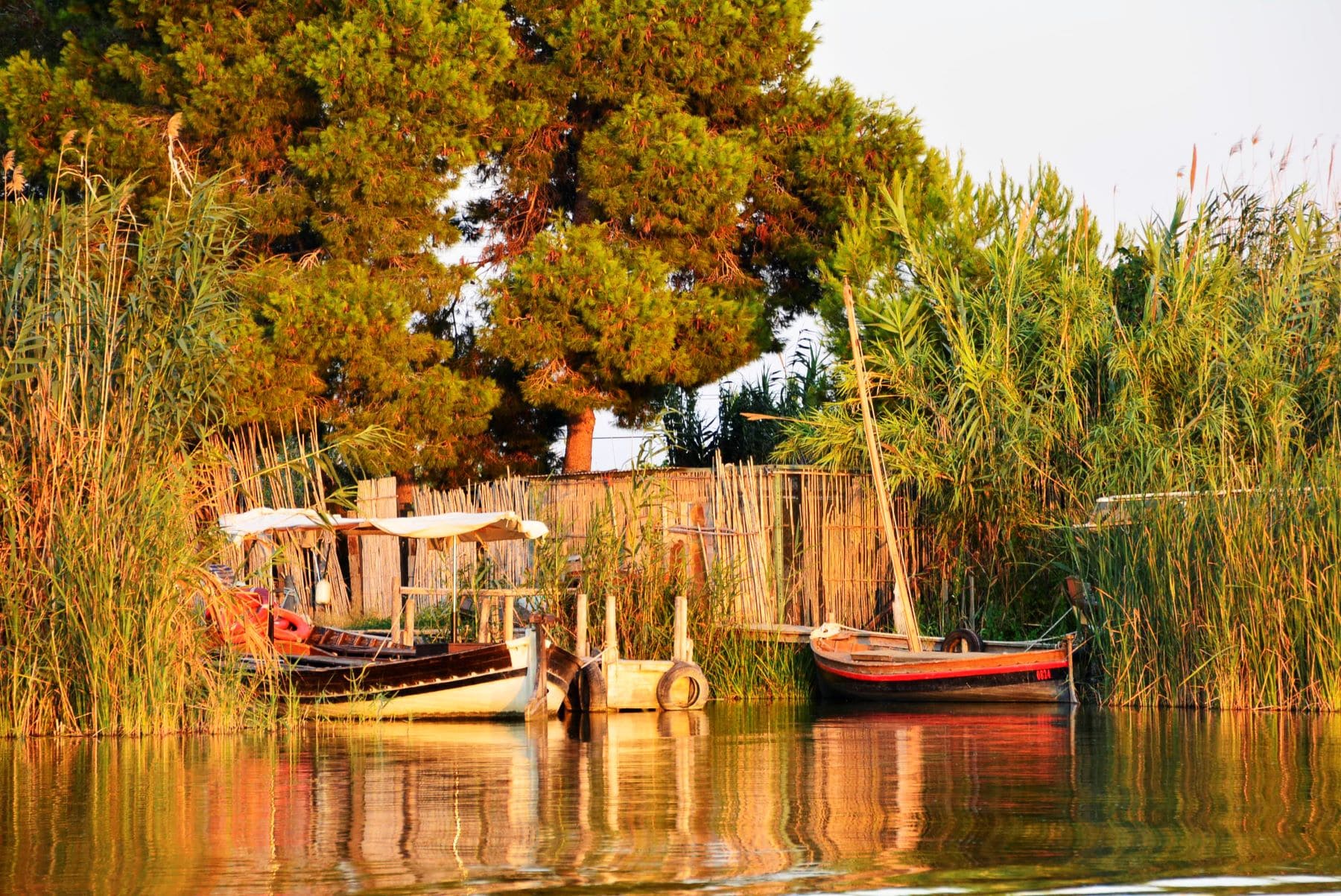 biodiversidad sostenible parque natural l’Albufera