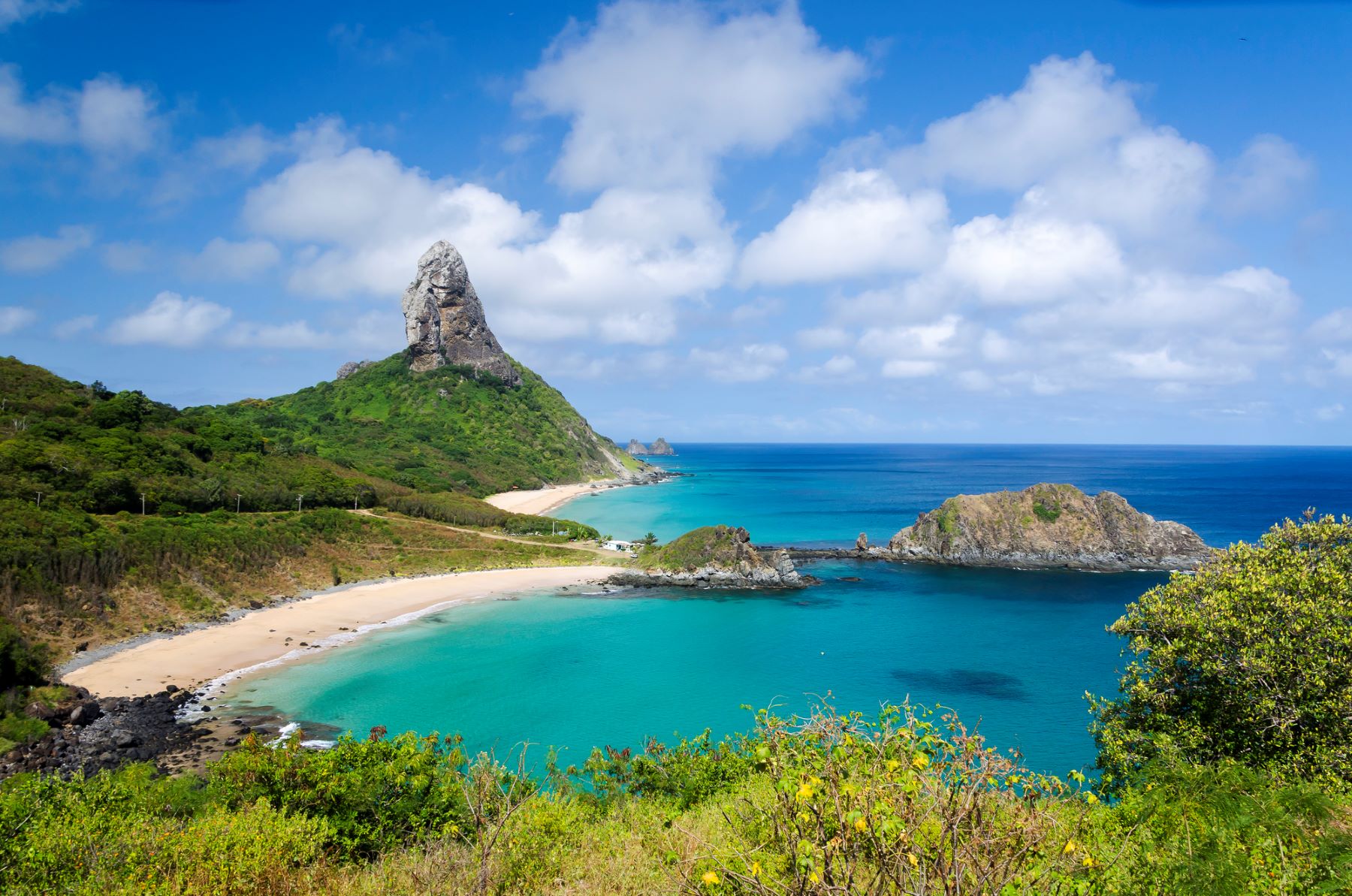 Archipiélago Fernando Noronha Brasil especies invasoras peligro plantas animales endémicas islas