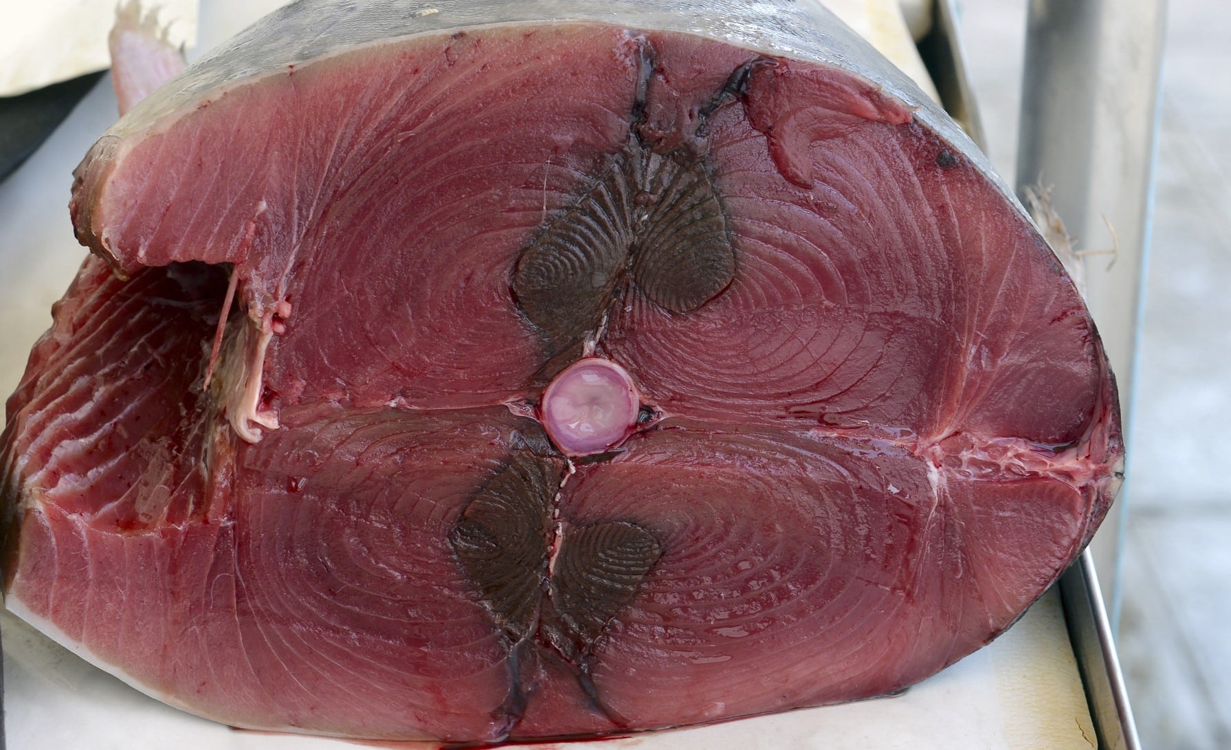 Atun histamina infrarrojos