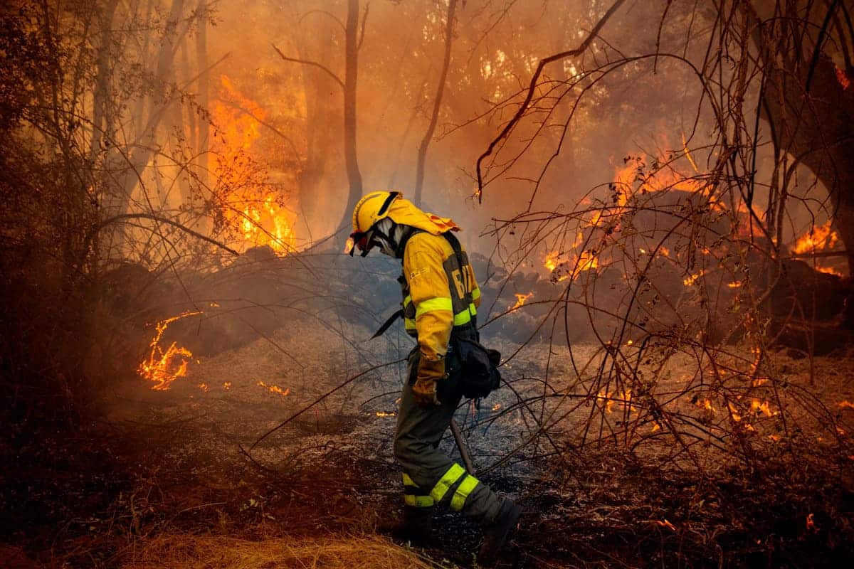 Cantabria incendios forestales hectáreas quemadas Enero 2025