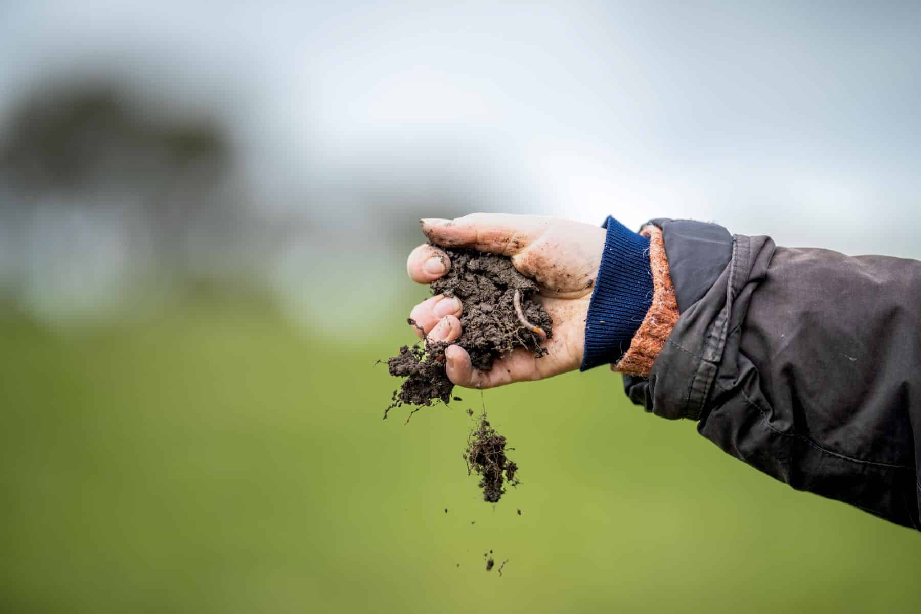 Conclusiones IX Encuentro Agroecológico Almansa