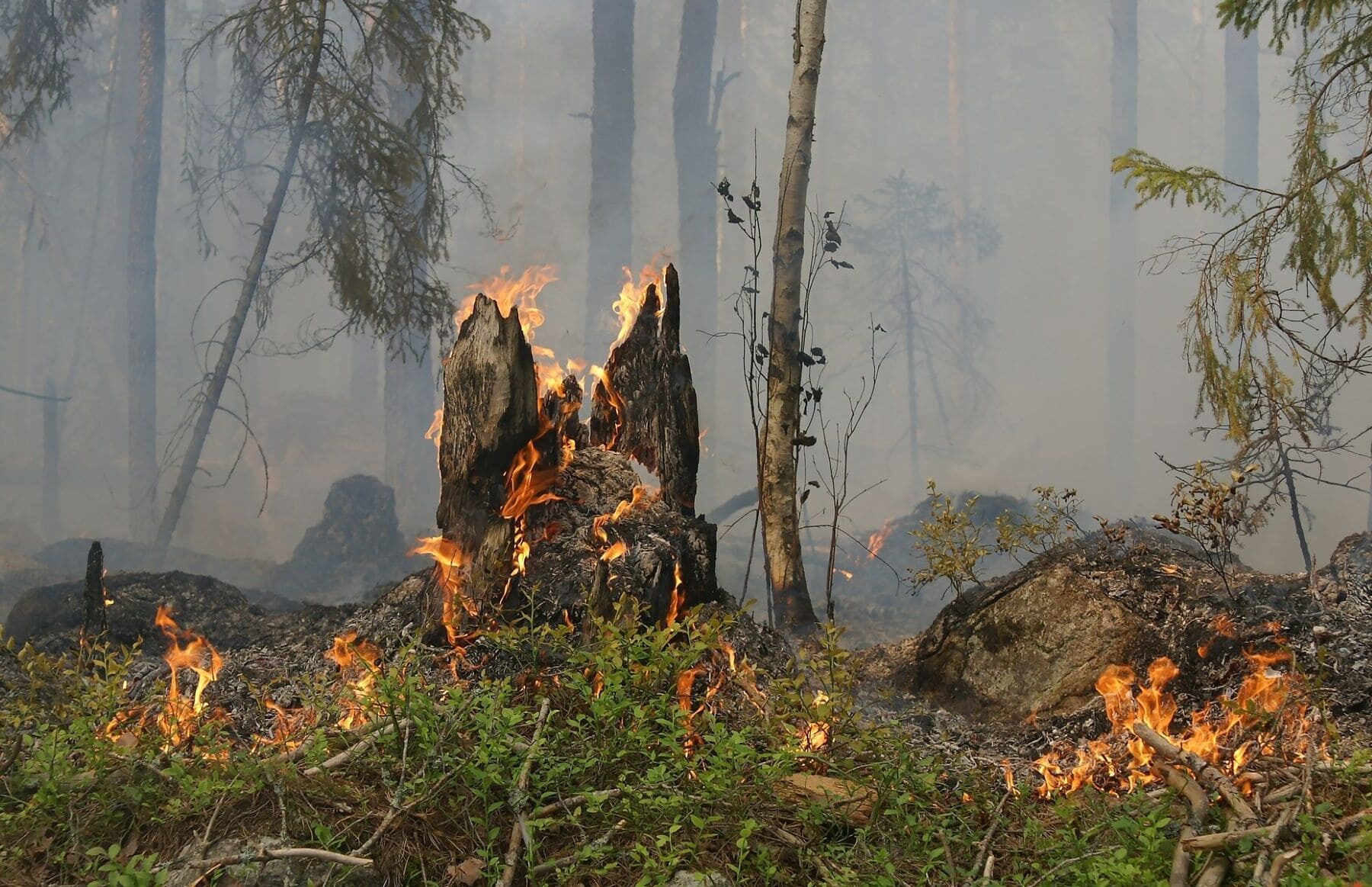 Cuba incendio oeste isla