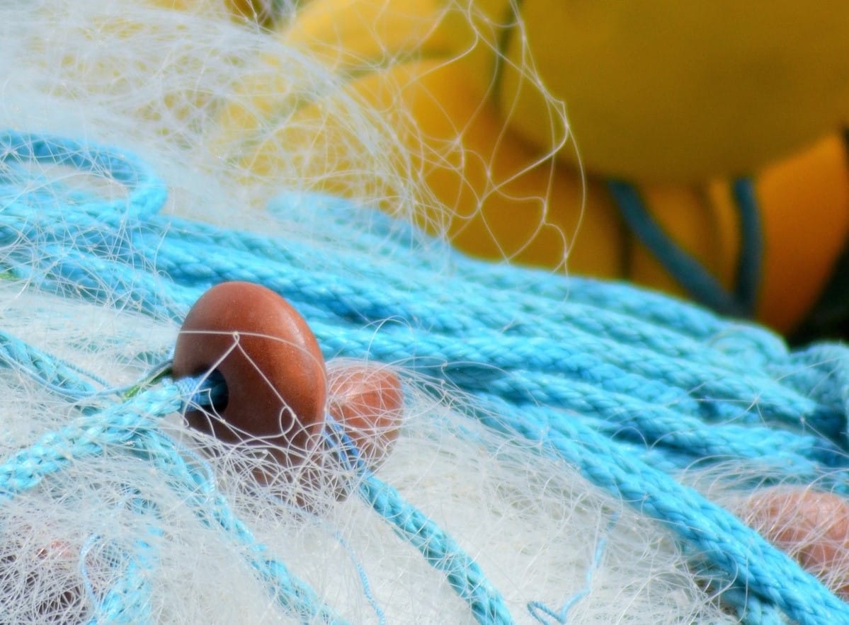 Demandan España pesca ilegal