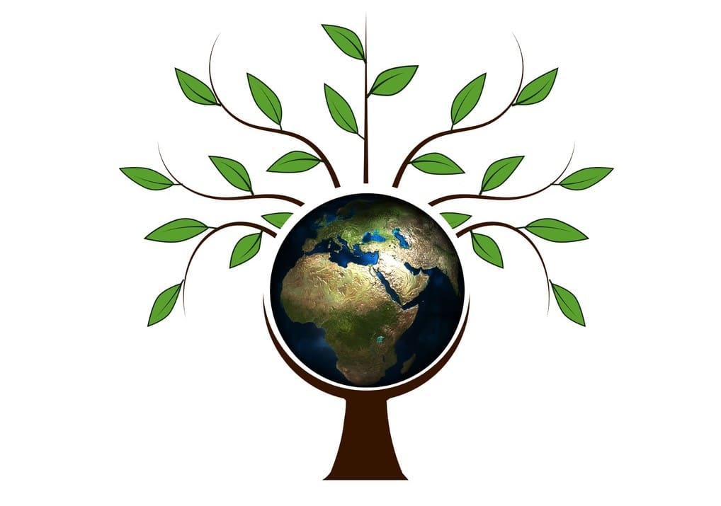 Día Tierra 2025 renovables