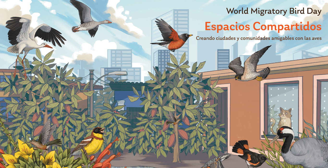 Día Mundial Aves Migratorias 2025