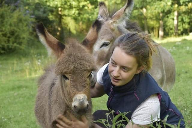 Día Mundial Burro 2025