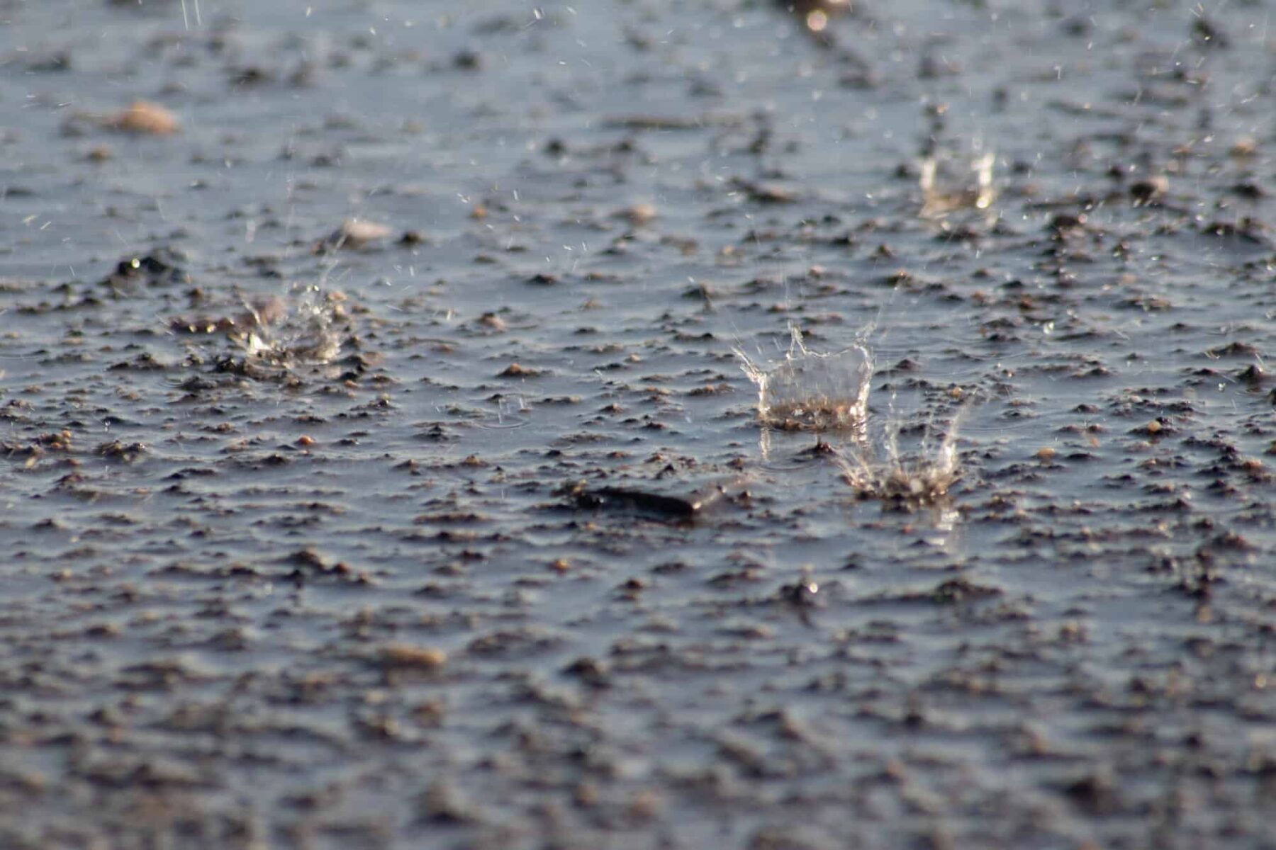 Viernes lluvias Borrasca Nuria España