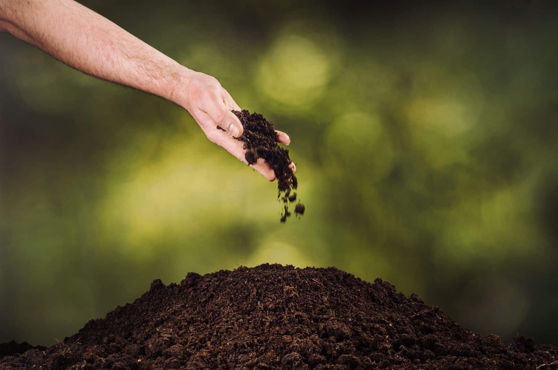 Europa ley vigilar restaurar salud del suelo