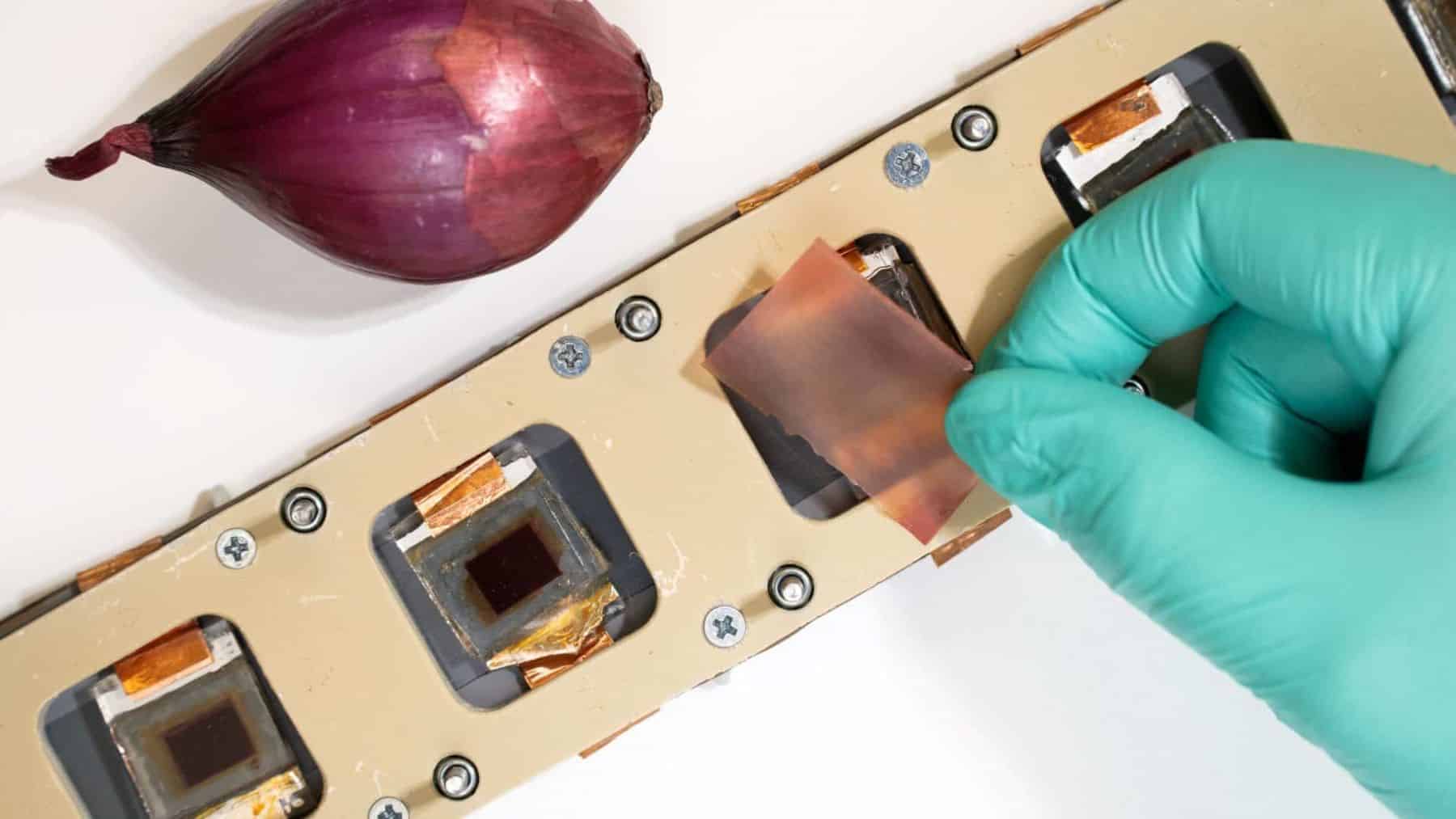 cebollas-energía solar