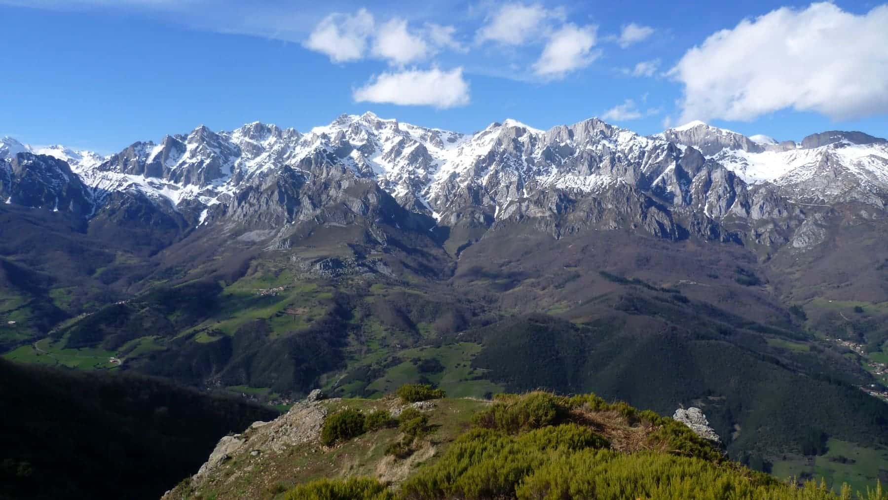 biodiversidad Picos Europa Léon