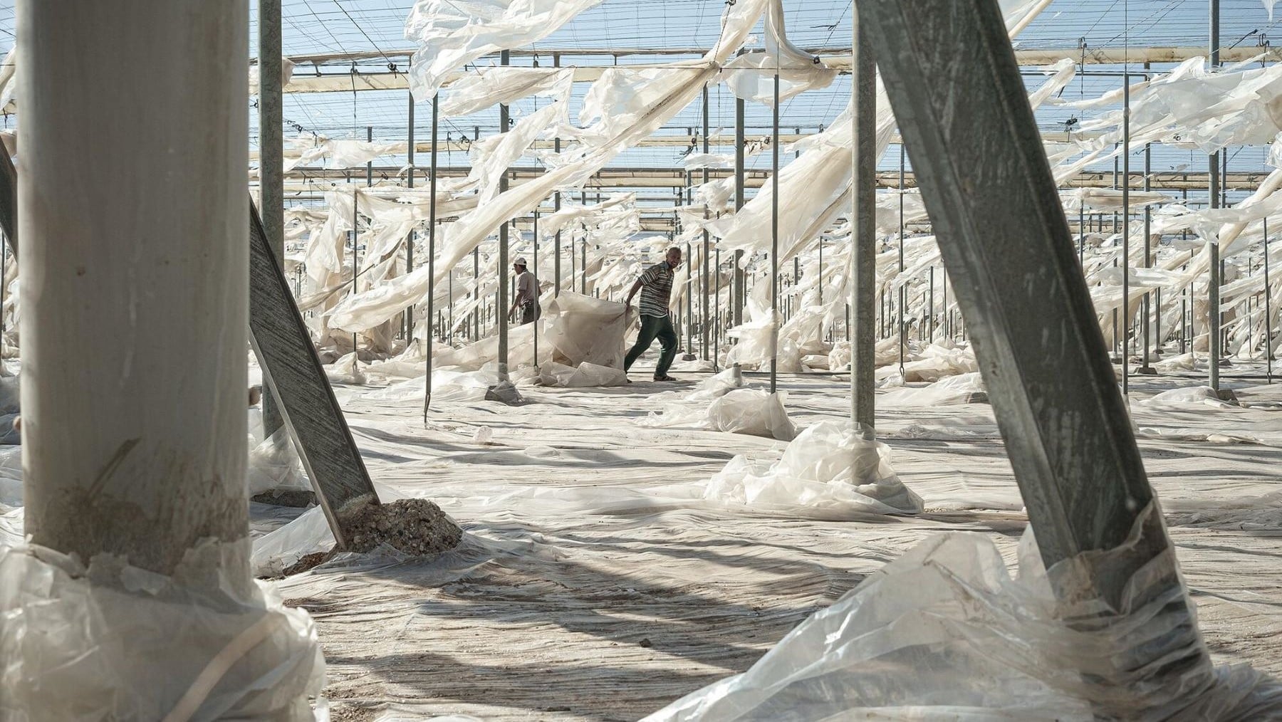 agroalimentaria España alemanes