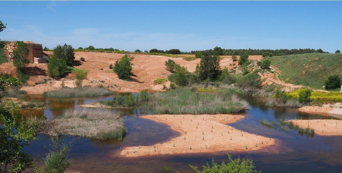 Cantera Chanta Madrid humedal oasis especies