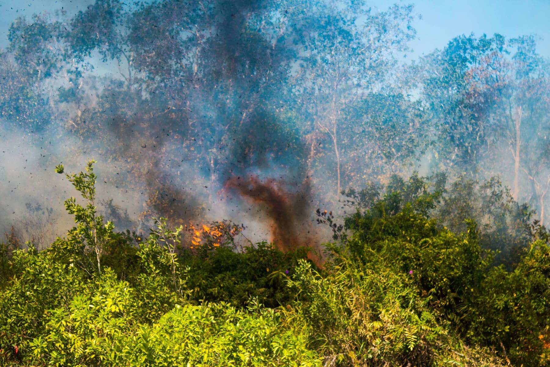 Generalitat Valenciana monitoriza humedad montes incendios forestales
