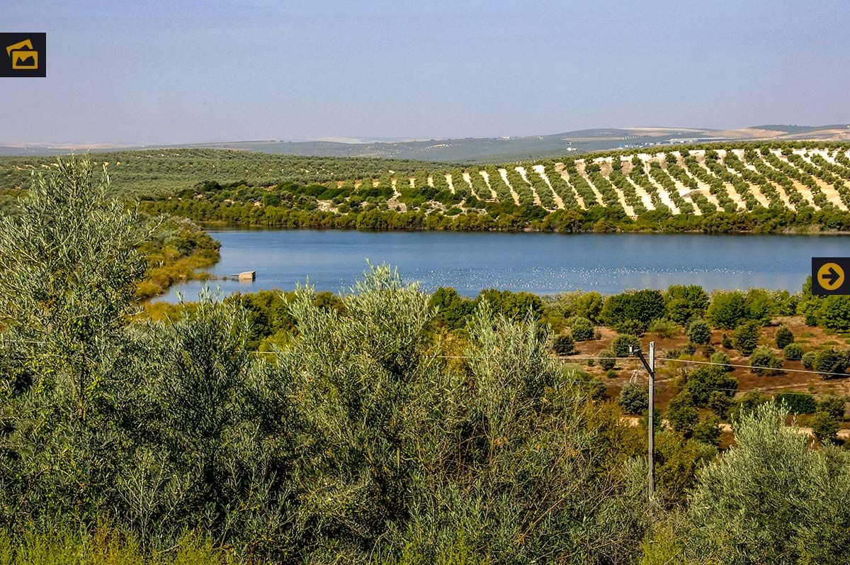 Laguna Zóñar biodiversidad bajo aguas humedal