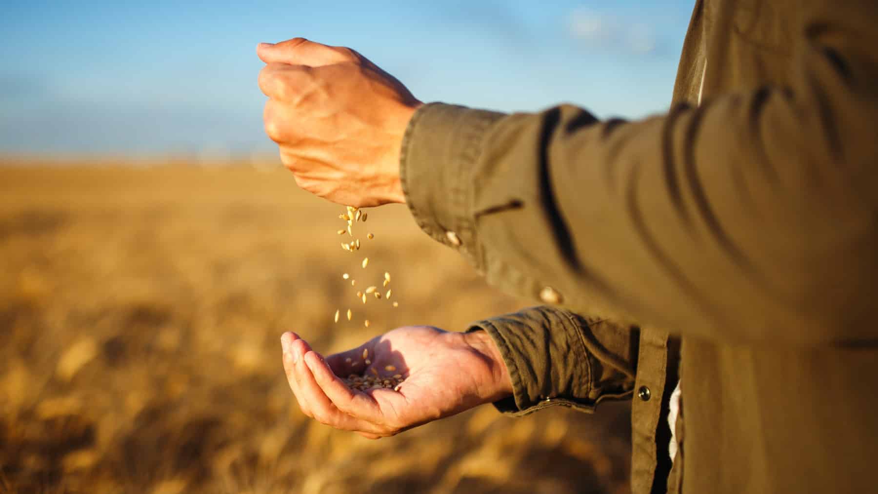 Ley Agricultura Familiar transición agroecológica