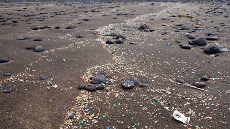 Playa microplásticos Cataluña