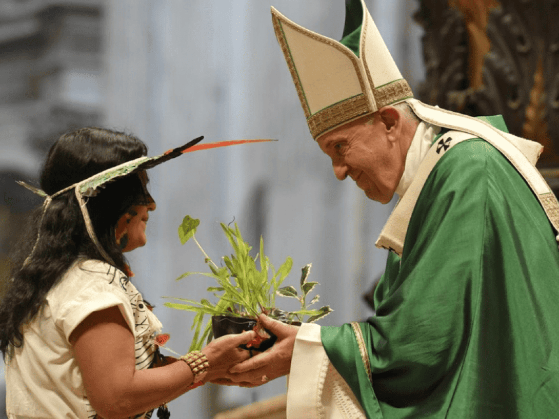 ONG ambientalistas papa ecologista