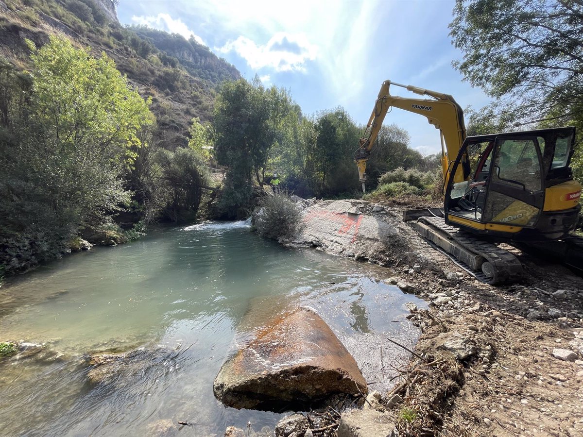Mejoras Zumeta retirada azudes