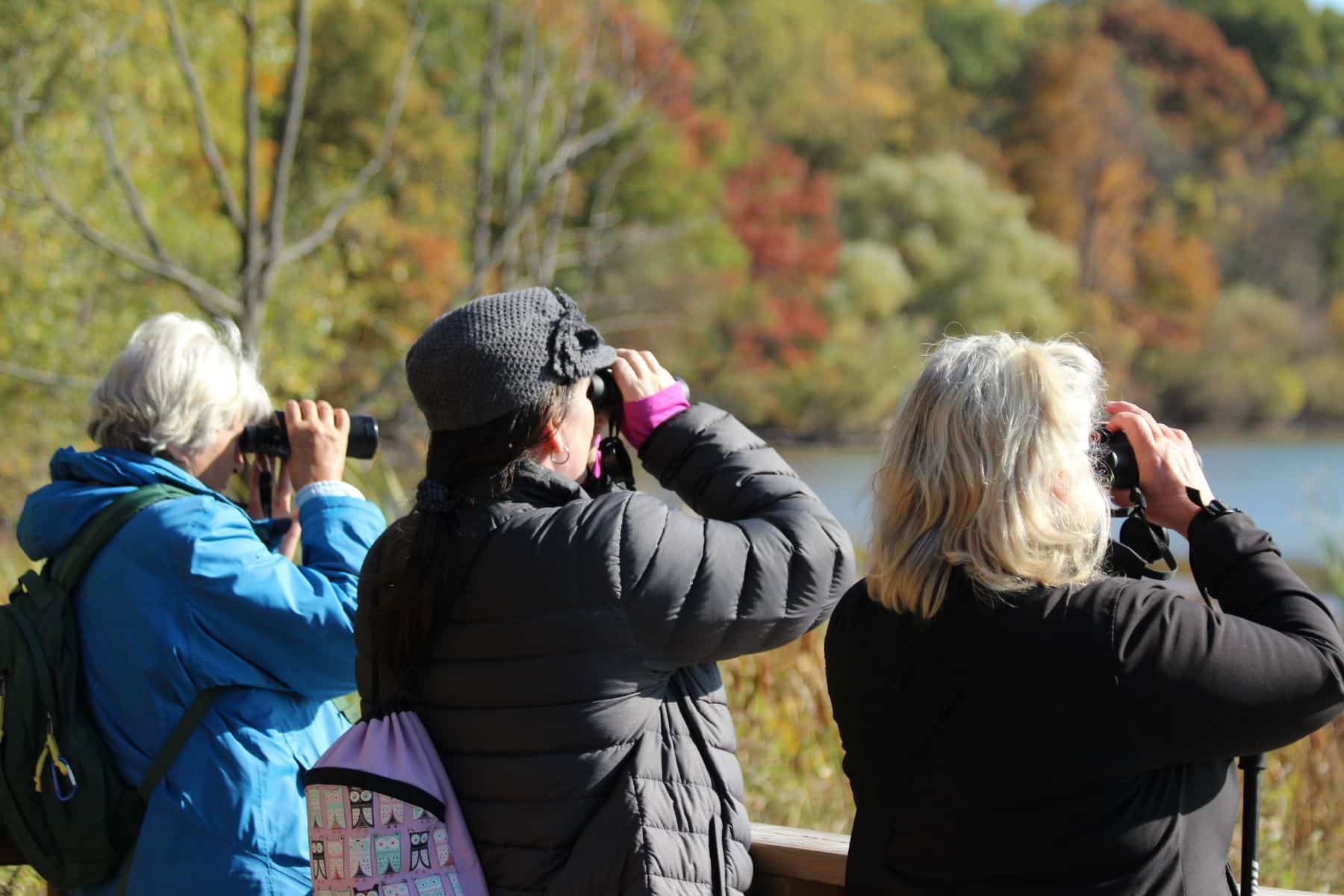 Observar aves primavera mejores localizaciones