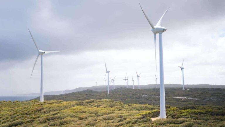 ecologistas oponen proyecto eólico Satrebares Galicia