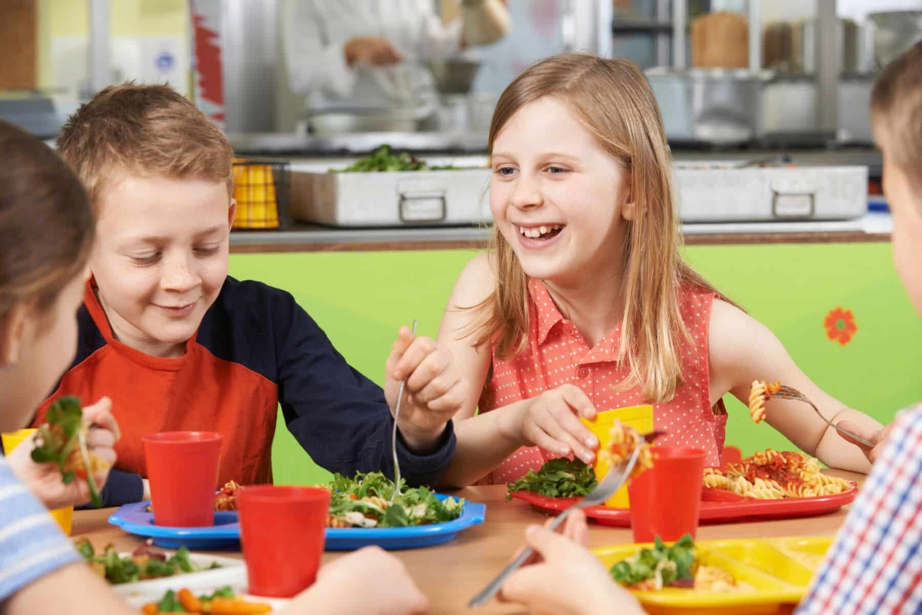 ley dietas escolares sanas variadas nutritivas