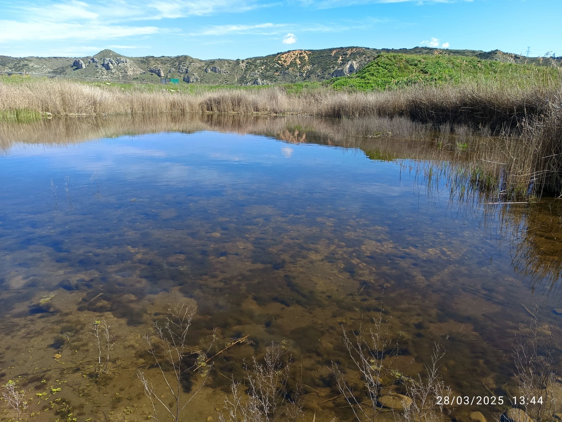 Restauración humedal Soto Gutiérrez