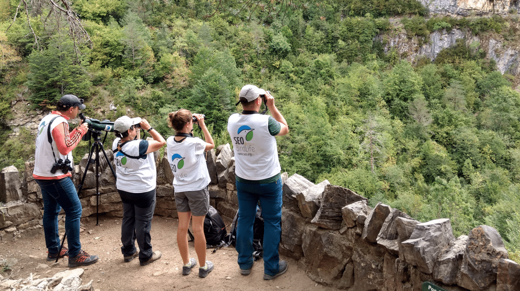 SEO/BirdLife Baleares 70 aniversario