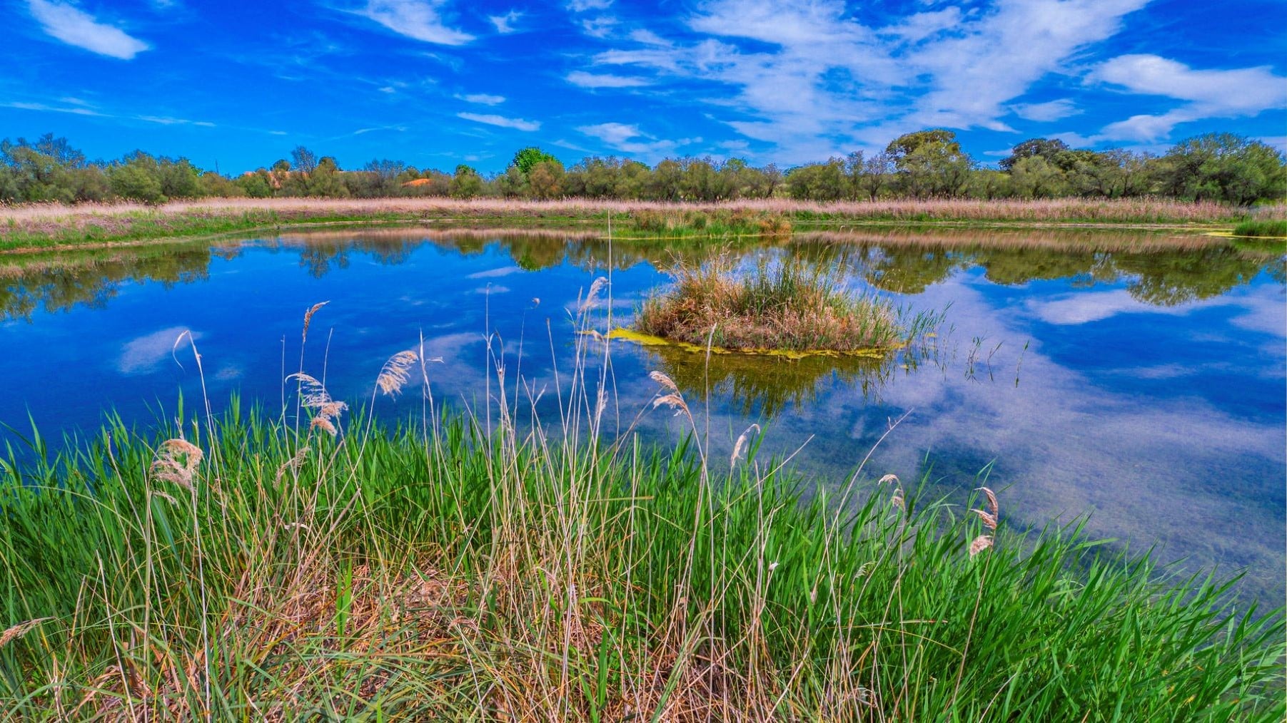 Semana Santa Tablas Daimiel