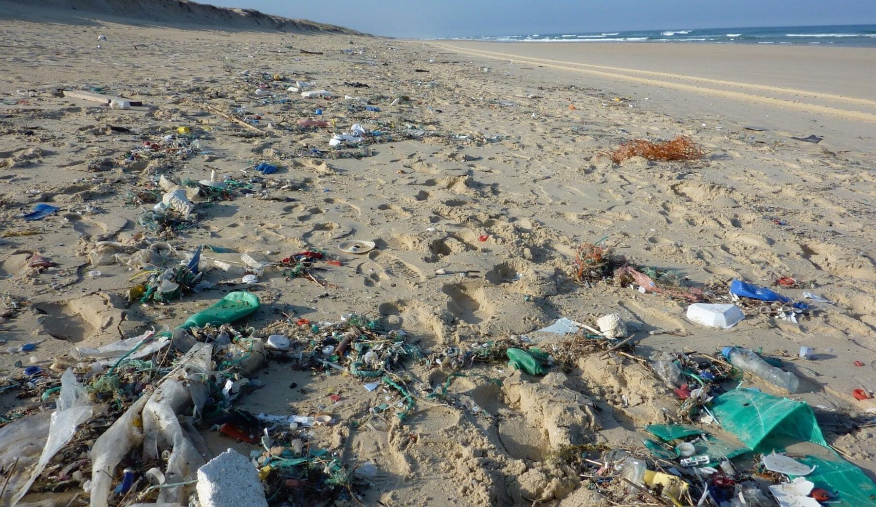 Tarragona litoral deterioro