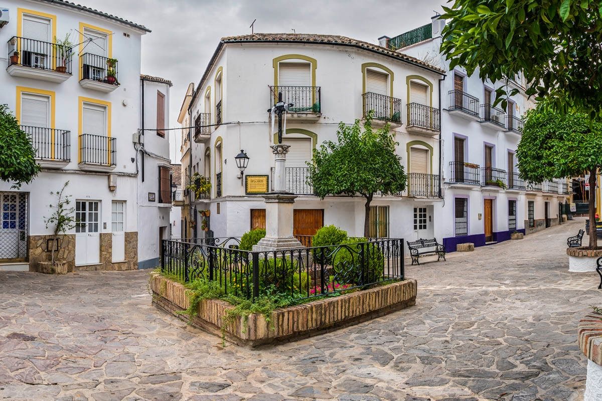 Ubrique arbolado urbano