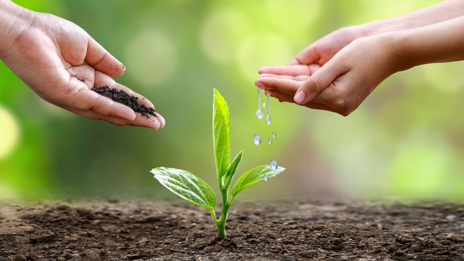 herramienta digital ahorrar agua riego