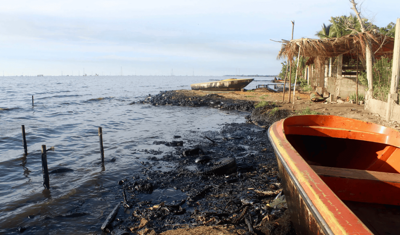 Venezuela medioambientales