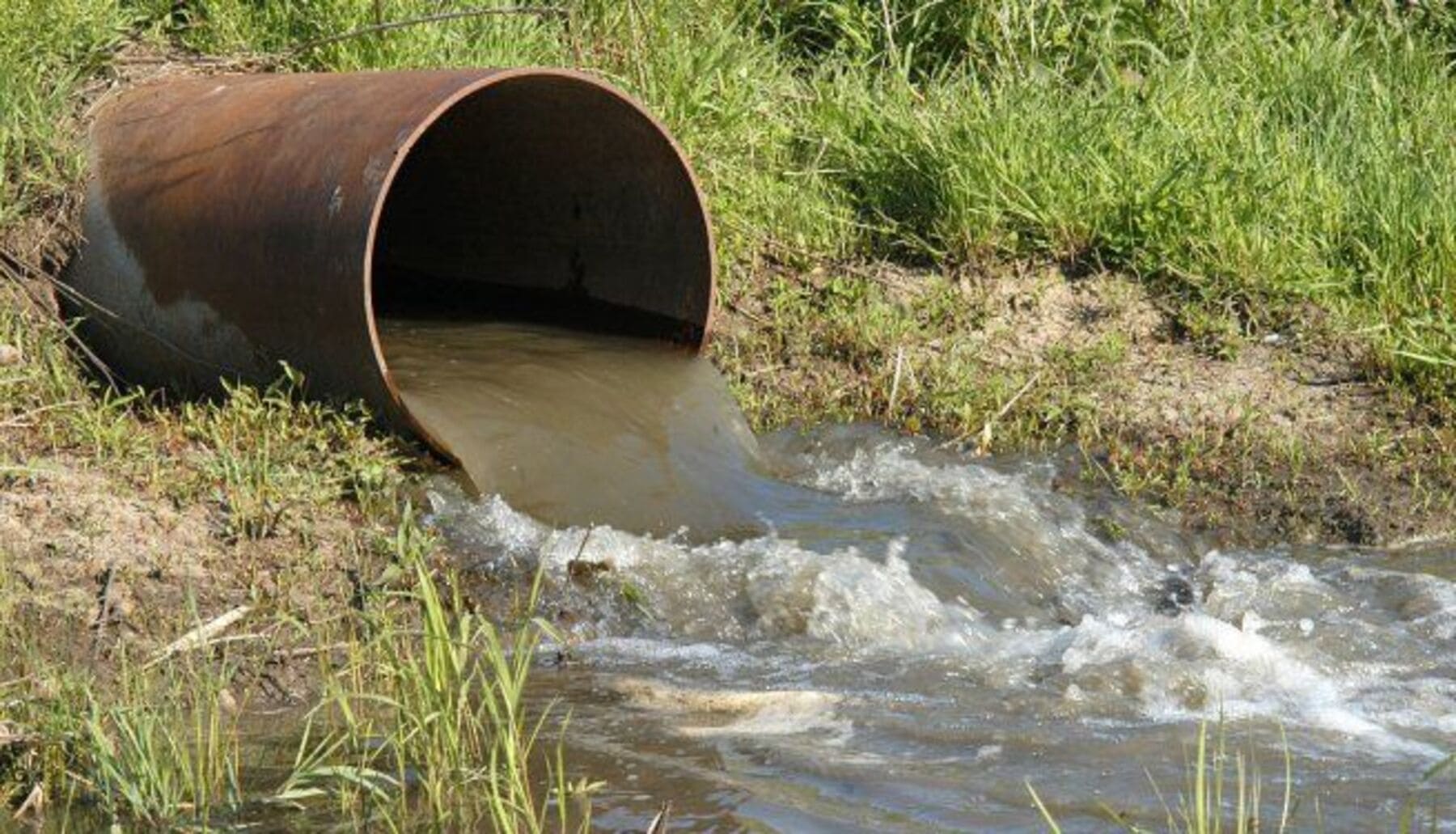descontaminación colada