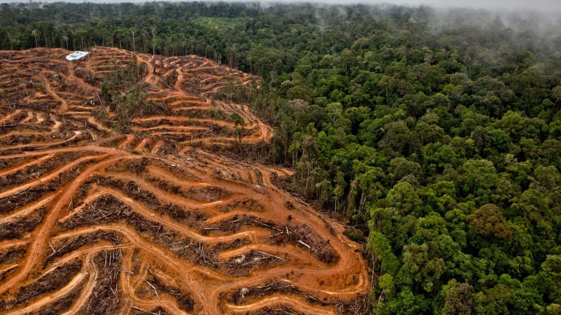 transicion energetica indonesia