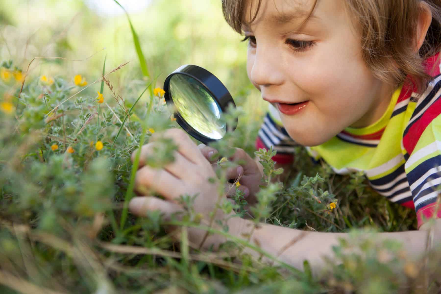 Observología niños naturaleza