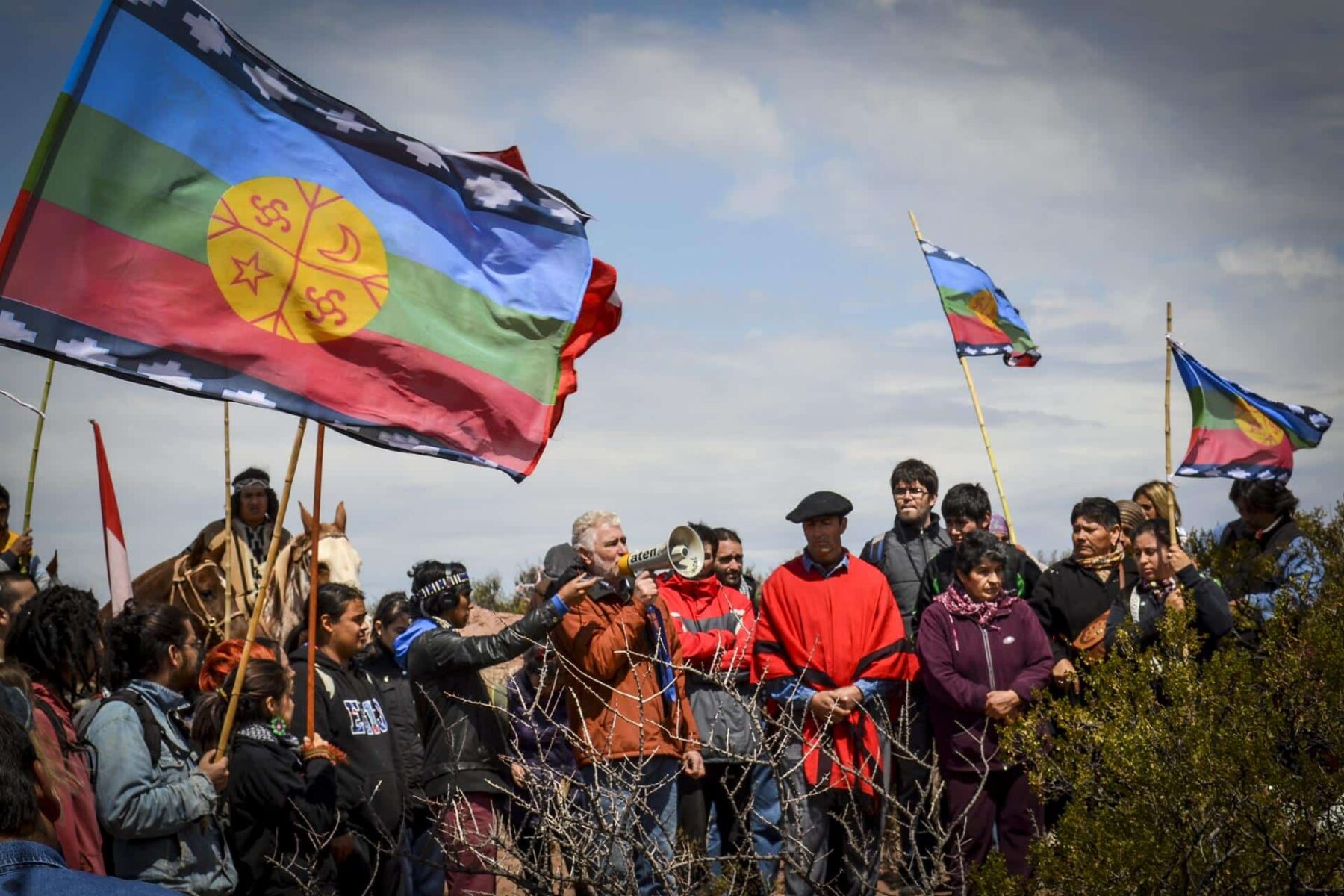 cogestión mapuches Patagonia argentina