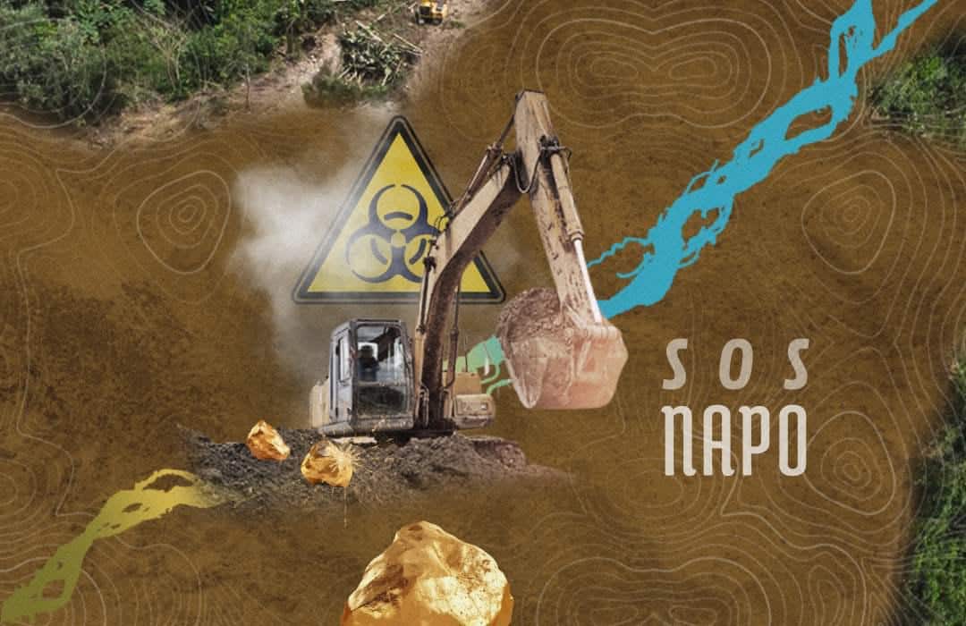 empresa china oro amazonía ecuatoriana suspendido concesiones