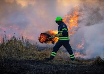 incendios forestales en el mundo