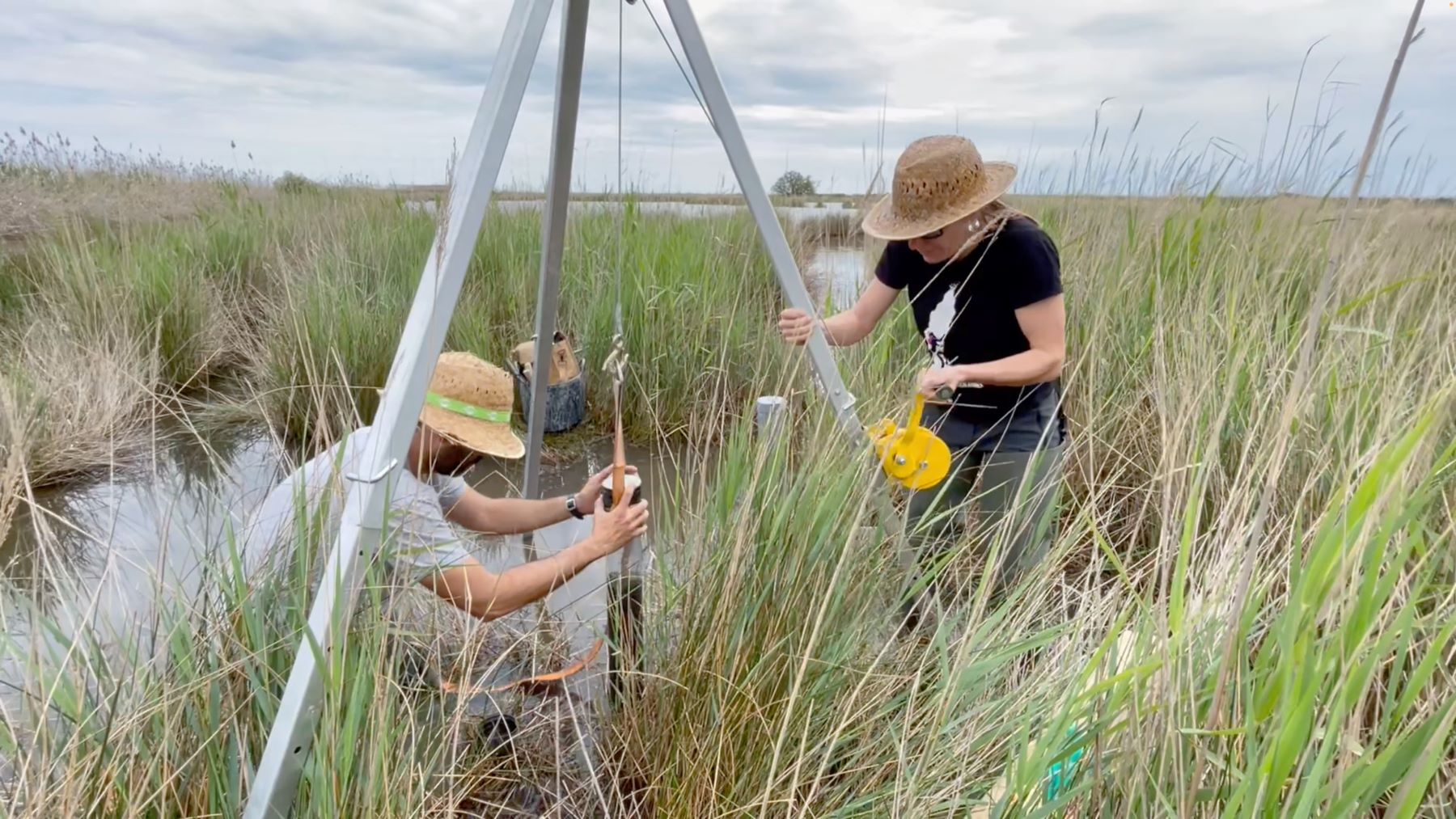 blaucat carbon azul cataluña