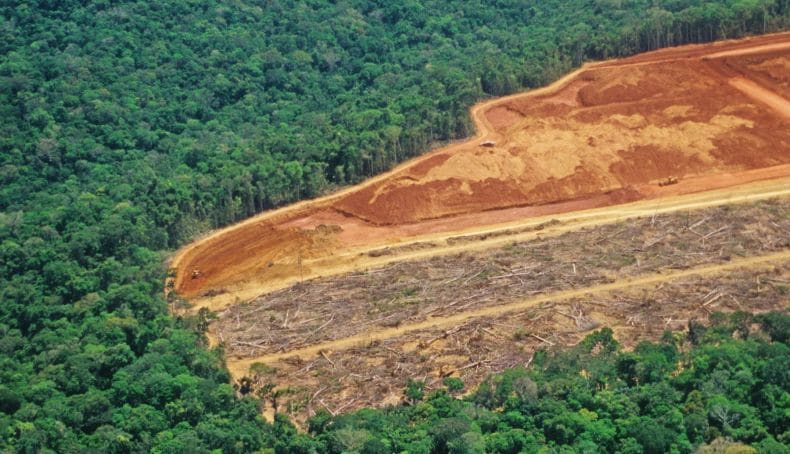 Brasil riesgo medio deforestación
